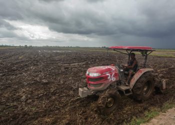 Mengawal Ketersediaan Pangan Nasional