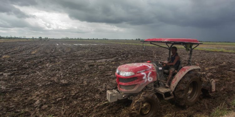 Mengawal Ketersediaan Pangan Nasional