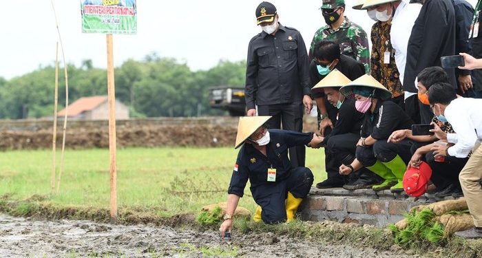 Perkuat Ketahanan Pangan, Mentan Dorong Pola Integrated Farming