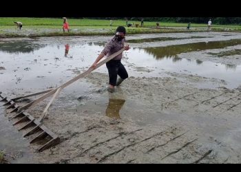 Dukung Ketahanan Pangan, Bhabinkamtibmas Turun ke Sawah Bantu Petani