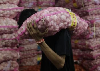 Pasokan Bawang Putih RI Kurang Hampir 400 Ribu Ton