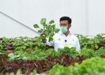 Dukung Ketahanan Pangan Nasional, Puspenerbal Buka Lahan Peternakan Kambing