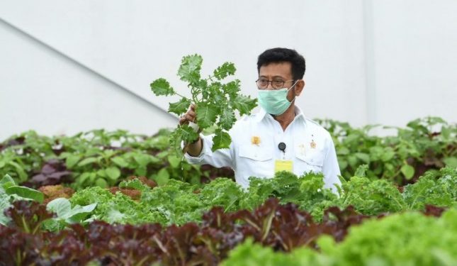 Dukung Ketahanan Pangan Nasional, Puspenerbal Buka Lahan Peternakan Kambing