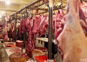 Antisipasi Pedagang Mogok Jualan, Pemprov DKI Siapkan Stok Daging Beku
