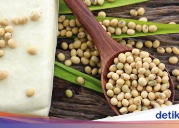 500 Ton Kedelai Asal Kanada Tiba di Kota Bandung