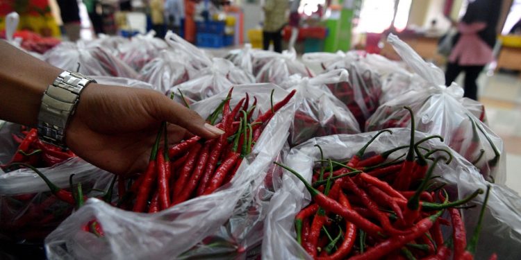 Toko Tani Indonesia gelar pasar murah di Bogor