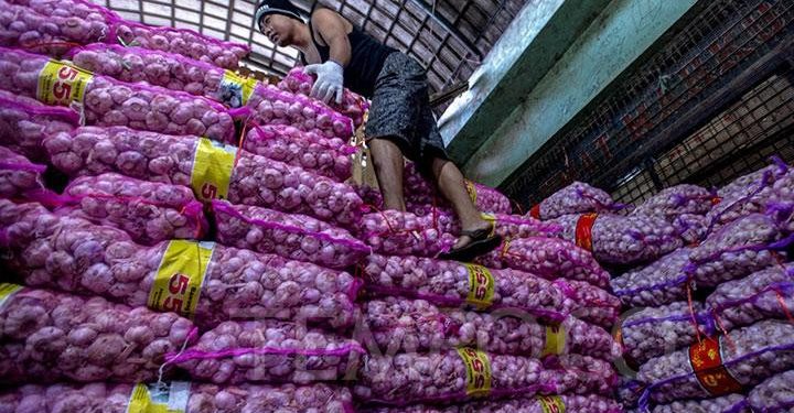 Pemerintah Kesulitan Hadapi Importir Bawang Putih ‘Nakal’