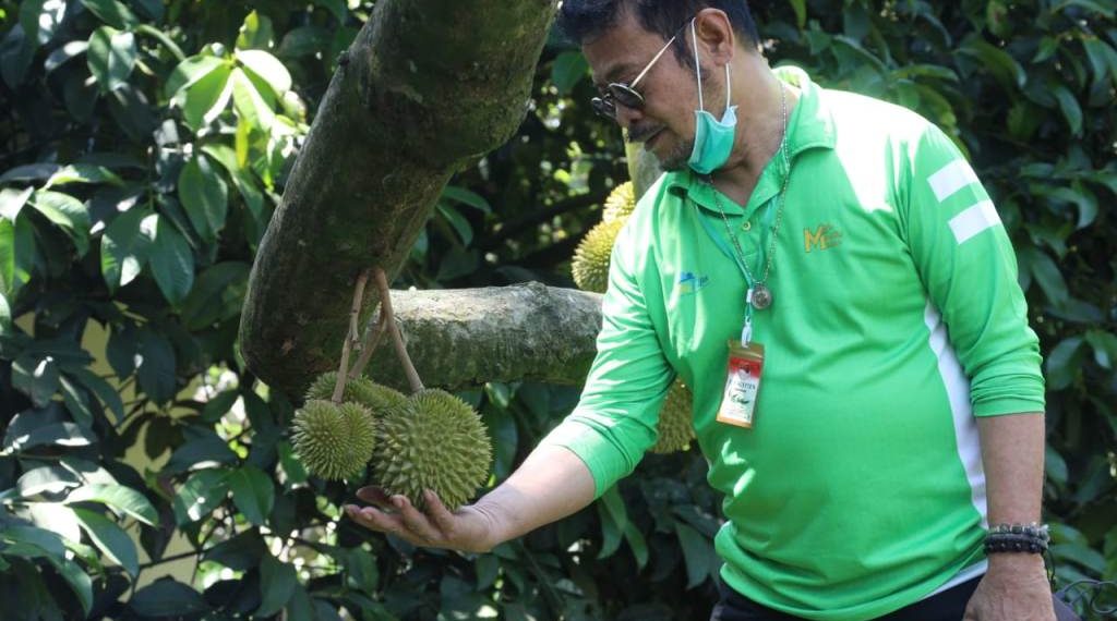 Tahun Ini, Kementan Kembali Gencarkan Diversifikasi Pangan