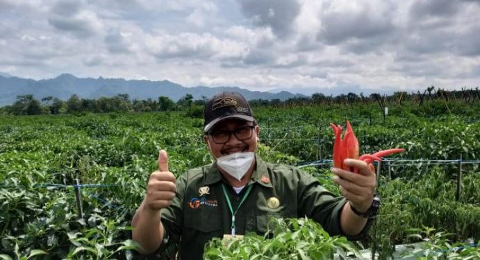 Kurangi Impor, Kementan Kembangkan Budidaya Bawang Putih di Probolinggo