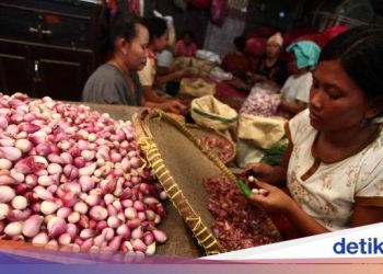 Ada Bawang Merah ‘Palsu’, Asosiasi: Pedagang Nggak Berani Jual