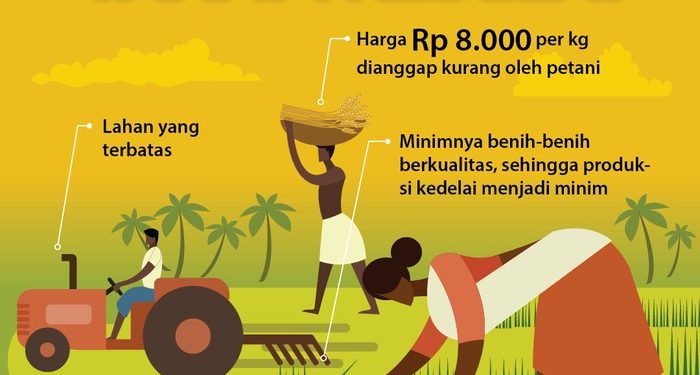 Alasan Petani Ogah Tanam Kedelai