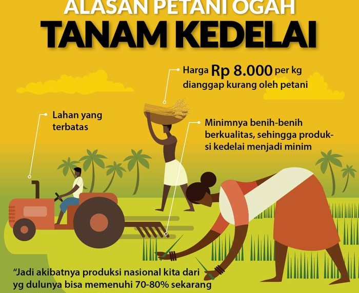 Alasan Petani Ogah Tanam Kedelai