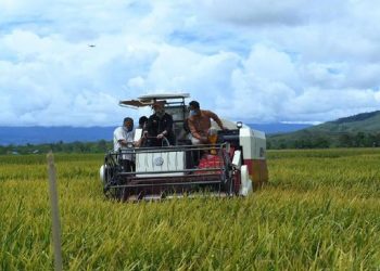 Anggaran Pertanian Dipotong Rp 6 T, Ternyata Ini Penyebabnya
