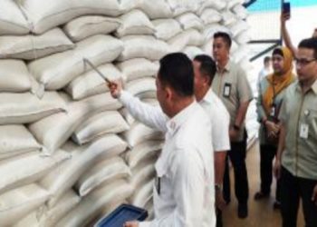 Bagaimana Jaminan Ketersediaan dan Harga Pangan Selama PSBB Jawa-Bali?