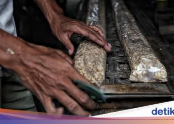 Bareskrim Telusuri Dugaan Penimbunan Kedelai, Ini Kata Kemendag