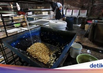 Biang Kerok Naiknya Harga Kedelai yang Bikin Perajin Tempe Mogok