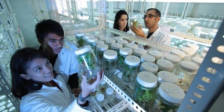 Tingkatkan Kualitas dan Produktivitas Pangan, Indonesia Bisa Berperan dalam Penerapan Teknologi.