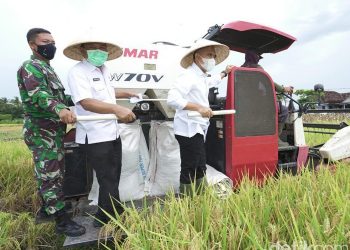 Kinerja Pertanian Padi Banyuwangi Lampaui Target Meski di Tengah Pandemi