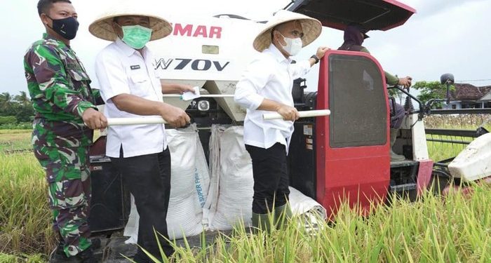 Kinerja Pertanian Padi Banyuwangi Lampaui Target Meski di Tengah Pandemi