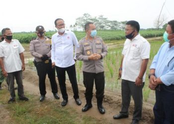 Baharkam Polri Kunjungi Lahan FKDB On Farm di Lampung