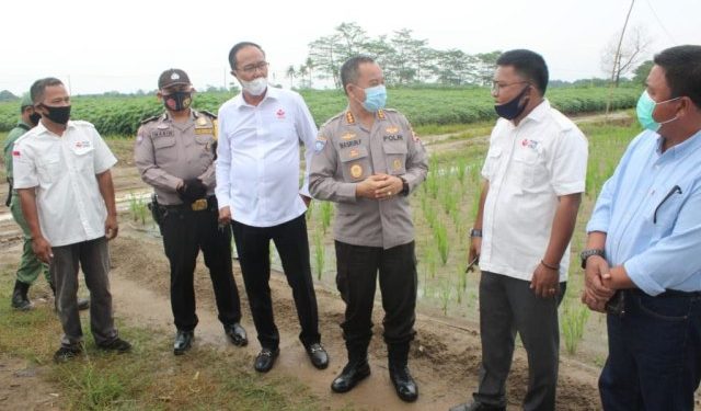 Baharkam Polri Kunjungi Lahan FKDB On Farm di Lampung