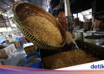 Diminta Operasi Pasar Kedelai Rp 8.500/Kg, Importir Ngaku Jual Rugi