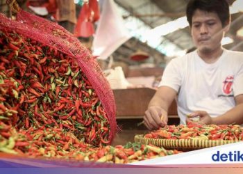 Harga Cabai Naik, Kementan Gelar Operasi Pasar Terbatas