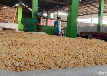 Harga Kedelai Melambung, Pengusaha Tempe dan Tahu di Banyuwangi Menjerit