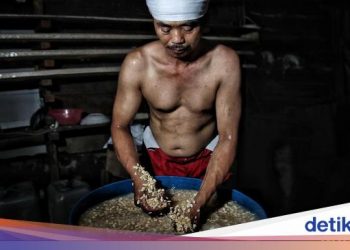 Harga Kedelai Rp 8.500/Kg Ditahan 3 Bulan