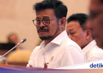 Harga Kedelai Sempat Naik, Mentan Ungkap 3 Jurus Tekan Impor