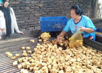 Harga Kedelai Tak Terjangkau, 30 Perajin Tempe Kota Batu Setop Produksi