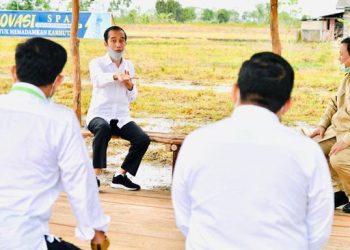 Jokowi Geram Subsidi Pupuk Rp 33 T, Return ke Negara Mana?