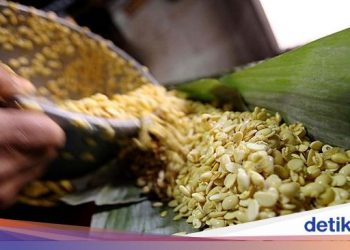 Jurus Kementan Tekan ‘Kecanduan’ Impor Kedelai di RI