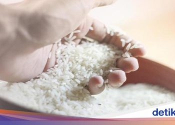 Kemendag Buka Suara Soal Rembes Beras Vietnam: Kemungkinan Dioplos