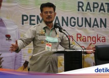 Kementan Siapkan Program Gedor Horti buat Dorong Produksi