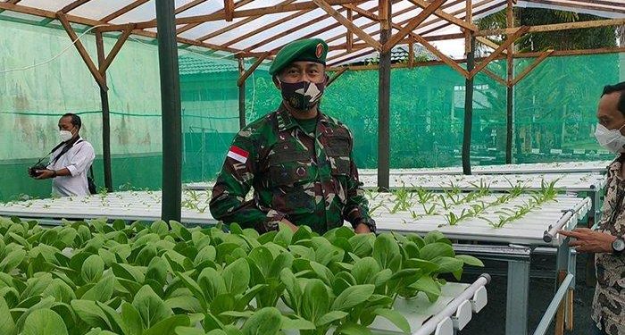 Paldam XII/Tanjungpura Bangun Rumah Hidroponik Jaga Ketahanan Pangan Dimasa Pandemi Covid-19