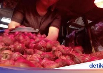 Ladang Bawang Brebes Kebanjiran, Pasokan ke Jakarta Tetap Normal