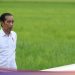 Lumbung Pangan Dikebut, Jokowi Minta Gubernur Percepat Urusan Izin