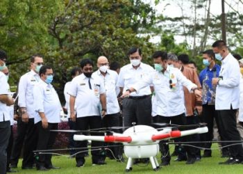 Menko Luhut: Food Estate Kesempatan Emas Wujudkan Modernisasi Pertanian