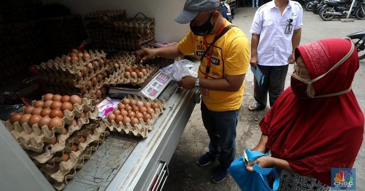 Anggaran Ketahanan Pangan 2021 Naik 30 Persen Jadi Rp 104 Triliun