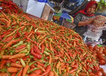 Masa Panen, Food Estate Bisa Hasilkan Padi 4-6 Ton Per Hektare