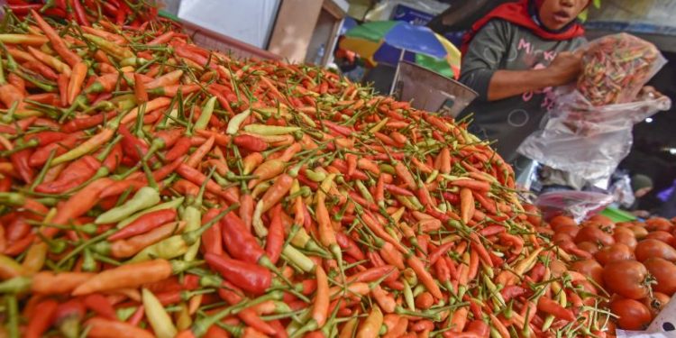Masa Panen, Food Estate Bisa Hasilkan Padi 4-6 Ton Per Hektare