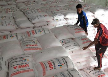 Perhepi: Petani Masih Akan Kekurangan Pupuk Subsidi Tahun Ini