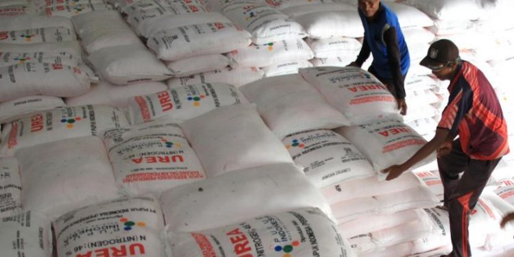 Perhepi: Petani Masih Akan Kekurangan Pupuk Subsidi Tahun Ini