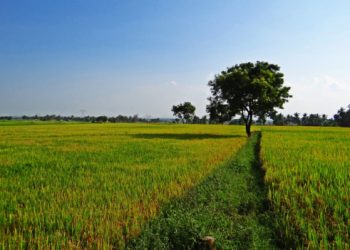 Pendekatan Normatif Tak Cukup untuk Selesaikan Konflik Agraria