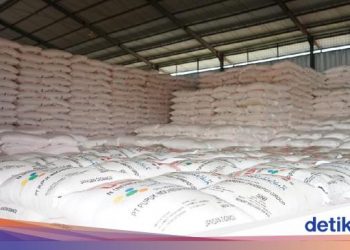 Penyaluran Pupuk Subsidi Terhambat di 57 Kabupaten/Kota, Ini Sebabnya