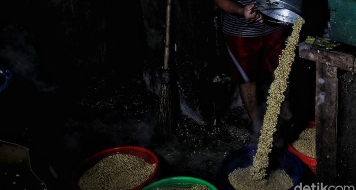 Petani Blak-blakan Alasan Ogah Tanam Kedelai