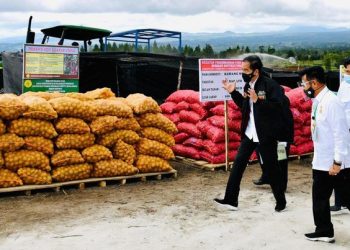 Proyek Lumbung Pangan Jokowi Ada Progres, Ini Perkembangannya