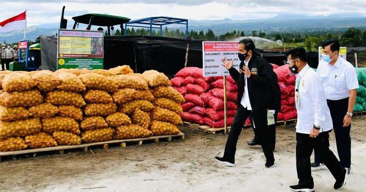 Proyek Lumbung Pangan Jokowi Ada Progres, Ini Perkembangannya