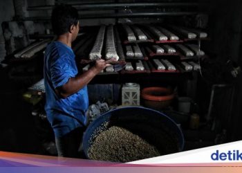 RI Belum Bisa Lepas dari Kedelai Impor, Tahun Ini Capai 2,6 Juta Ton